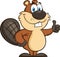 Beaver Cartoon Mascot Character Giving A Thumb Up.