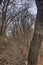 Beaver Creek Nature Area is a Nature Preserve in Rural South Dakota