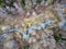 Beaver dam on forest river at early spring time, drone view. Stream, treetops, wetland. Aerial landscape