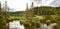 Beaver dam holding back water on Horseshoe Lake, Denali National Park, Alaska