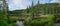 Beaver dam in Horseshoe lake in Denali national park