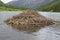 Beaver dam in a lake in the mountains