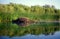 Beaver Dam Reflection Lake Marsh