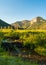 Beaver Dam in the Sawtooth National Recreation Area, Idaho