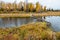 Beaver Dam at Schwabacher Landing