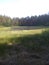 Beaver dam on a small river