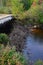 Beaver dam under bridge