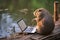 Beaver Engrossed in Laptop by Serene Lake
