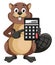 Beaver holding calculator, illustration, vector