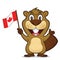 Beaver holding canadian flag