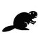 Beaver Icon Vector