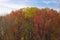 Beaver Lake in autumn Montreal