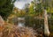 Beaver Lodge on Autumn Pond