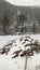 Beaver lodge in snow