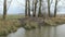 Beaver lodge at water on a water channel in Havelland Brandenburg, Germany