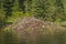 Beaver Lodge on a Wilderness River