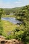 Beaver lodges in Algonquin Park