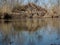 Beaver lodges on the banks of the river. Branches arranged the house.