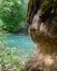 Beaver marks on a tree trunk