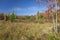 Beaver Meadow in Autumn