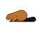 Beaver pixel art. 8 bit swamp rodent. pixelated Vector illustration