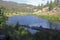 Beaver Pond On Beaver Trail, Yellowstone National Park