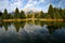 Beaver Pond Schwabacher Landing 3