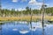 Beaver Pond with White Billowing Clouds Reflecting in the Water