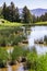 Beaver Ponds, Yellowstone National Park