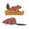 Beaver Semiaquatic Rodent with Brown Fur and Long Snout Sitting with Log Vector Set