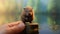 Beaver Sitting On Finger: Photorealistic Painting By Aleksander Gierymski