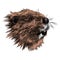 Beaver sketch vector graphics color