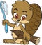 Beaver and toothbrush