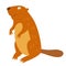 Beaver. Vector illustration