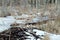 Beavers live under ice in winter, beaver dam