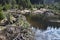 Beavers lodge at pent up water near Frauenau