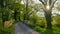 Beckford bridge and country lane in spring near Southwick, UK