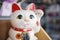 Beckoning cat lucky doll from Japan