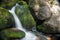 Becky Falls in Dartmoor