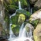 Becky Falls in Dartmoor