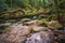 Becky Falls in Dartmoor National Park