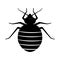 Bed bug. Black silhouette of an insect on white background. Bedbug vector illustration. A symbol of the danger of bug bite