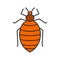 Bed bug color icon