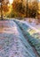 The bed of a dehydrated canal, overgrown with grass and covered with frost in the forest on an autumn morning