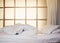 Bed mattress pillow and blanket duvet Japanese style Futon
