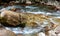 the bed of a mountain river  fast flowing water  rocky bottom and clear water on a sunny day  a place for walking and relaxing.