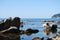 Bed of seals on a beautiful rocky seashore. Flock of sea lions. Marine reserve in the Pacific ocean. Sea mammals. Rocks in a bay.