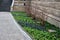 Bed of spring flowers biennials and annuals blue red white stripes and beige stone wall historic buildings bossage pavement granit