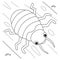 Bedbug Animal Coloring Page for Kids