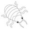 Bedbug Animal Isolated Coloring Page for Kids